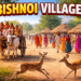 Bishnoi Village Safari showing blackbuck deer and local artisans crafting traditional Rajasthani handicrafts in a rural village setting.