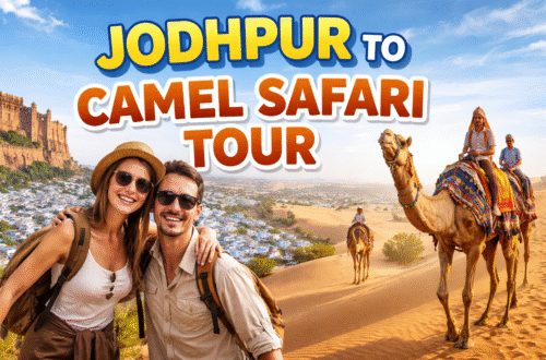 Tourists enjoying evening sand dune experience with folk dance and camel ride in desert