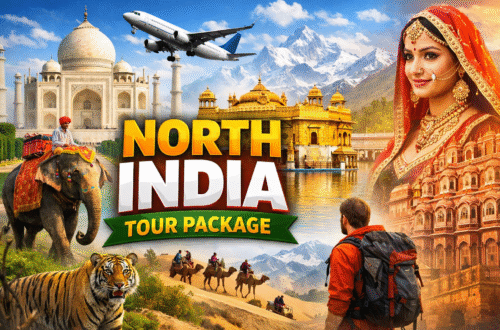 Travelers exploring historic forts, temples, and scenic landscapes on a North India tour