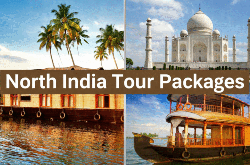 Comfortable North India tour with scenic destinations and travel ideas